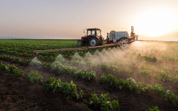 Best Mosquito Control Services  in Clinton, SC
