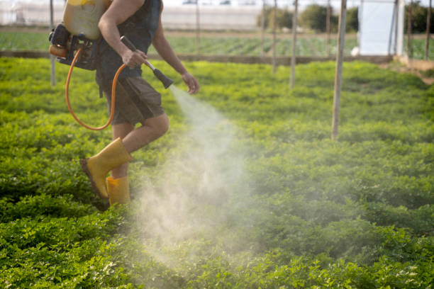 Reliable Clinton, SC Pest Control Solutions