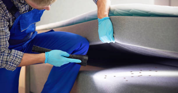 Best Affordable Pest Control Services  in Clinton, SC