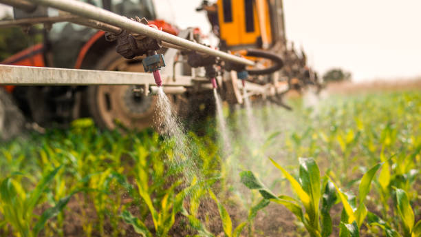 Best Pest Removal Services  in Clinton, SC